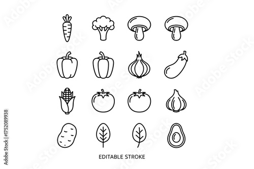 Set of editable stroke vegetable icons including carrots, broccoli, mushrooms, bell peppers, onion, eggplant, corn, tomatoes, garlic, potato, leafy greens, and avocado line art for healthy food design