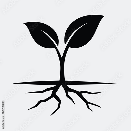 Silhouette seedling plant with roots growth black vector illustration