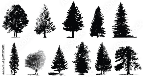 Diverse Tree Silhouettes Collection Isolated on White Background Showcasing Different Species and Shapes with Lush Foliage