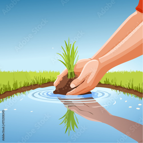 Hands planting young green seedling into watery soil, reflecting its nurturing in the sunlit outdoors