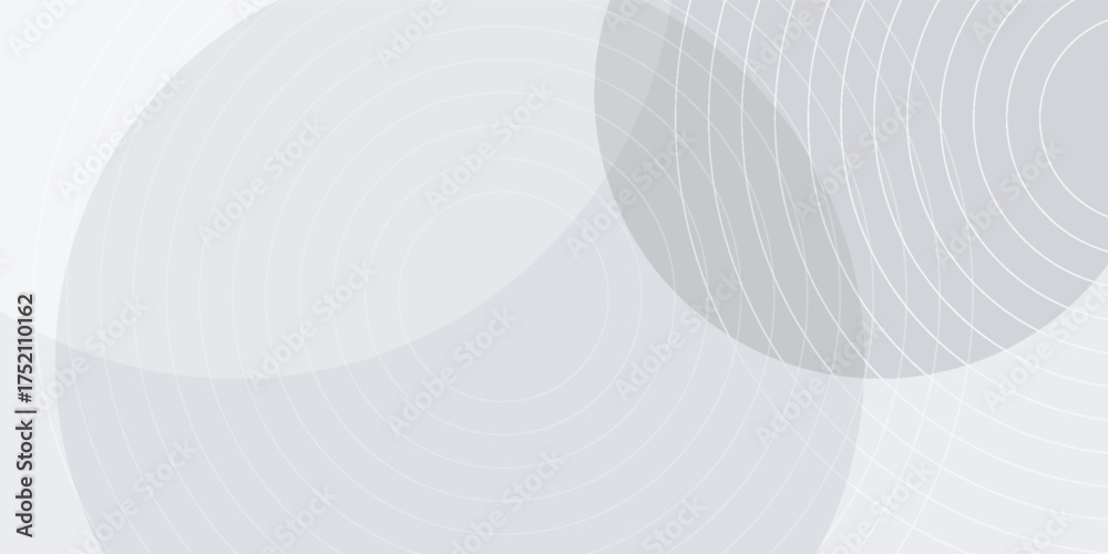 Fototapeta premium Elegant white geometric abstract background overlap layer on bright space with lines effect decoration. Modern graphic design element circles style concept for banner.