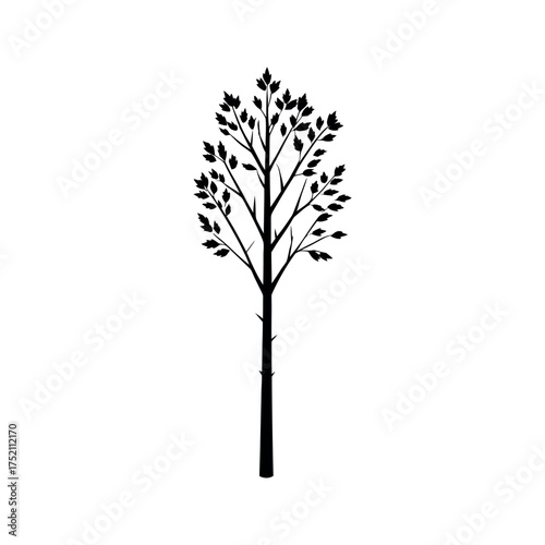 minimal silhouette vector of birch tree