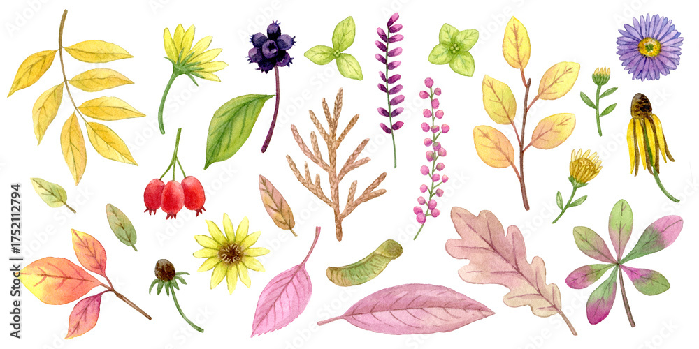 Naklejka premium Watercolour autumn leaves plants and flowers collection. Colorful autumn plants in beautiful set for print, element design, textile, label, stickers, fabric, invitation, greeting card, wrapping paper.