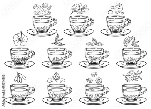 Set glass mugs of tea and saucer. Medicinal tea. Hand drawn vector illustration.
