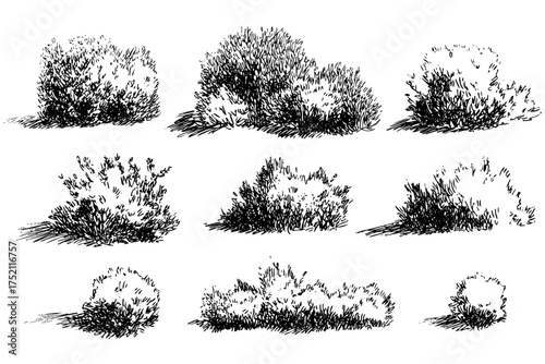 Collection of various hand drawn bush sketch illustrations with shadows