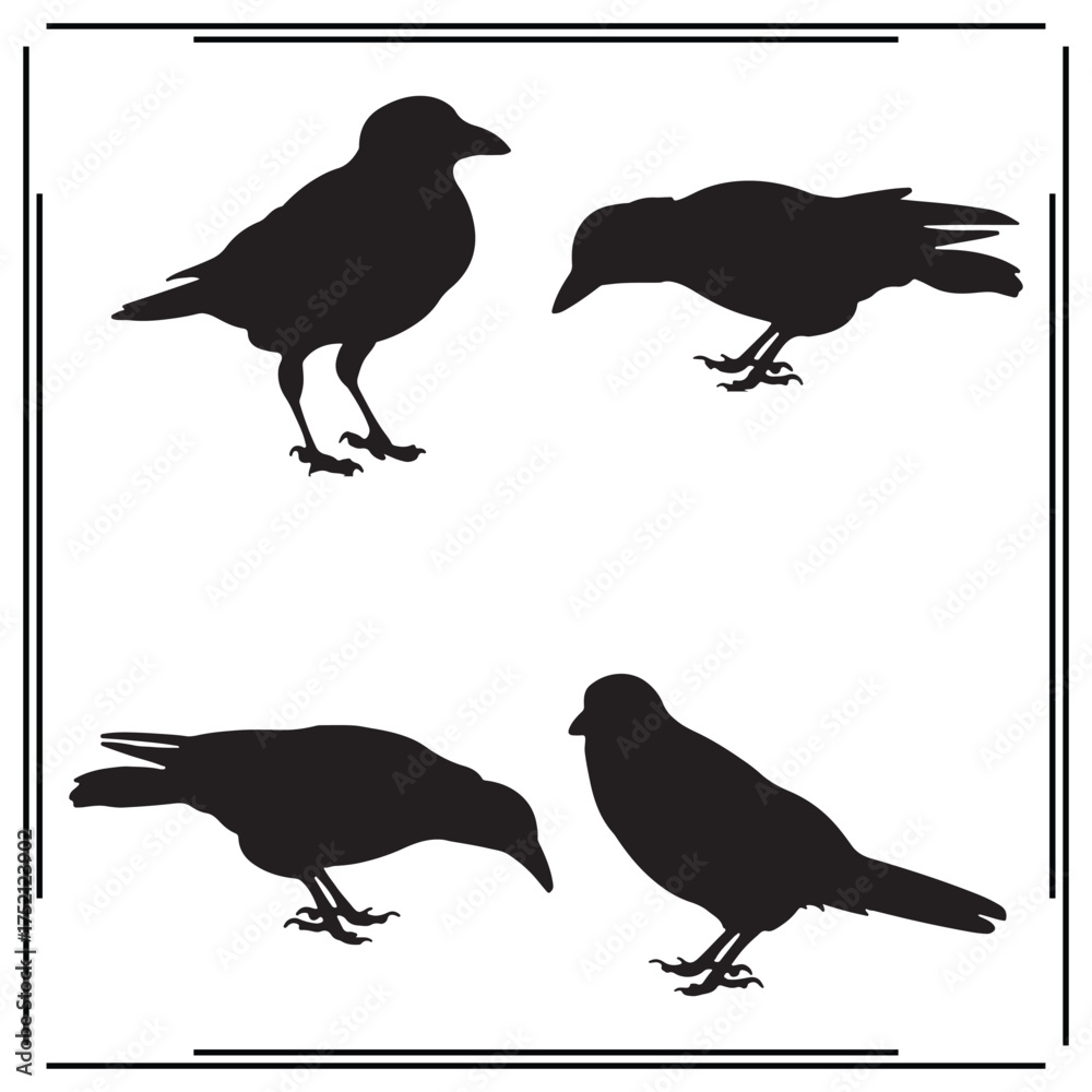 Obraz premium Silhouette of Birds: Standing, Pecking, and Perched - Set of Black Crow and Sparrow Illustrations on White Background