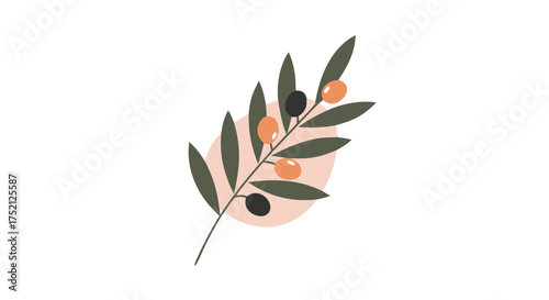 Olive branch with green and orange leaves on a soft background  