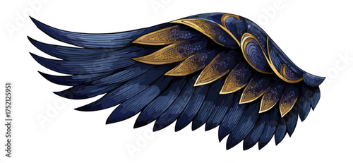 Detailed illustration of a single wing isolated on black background