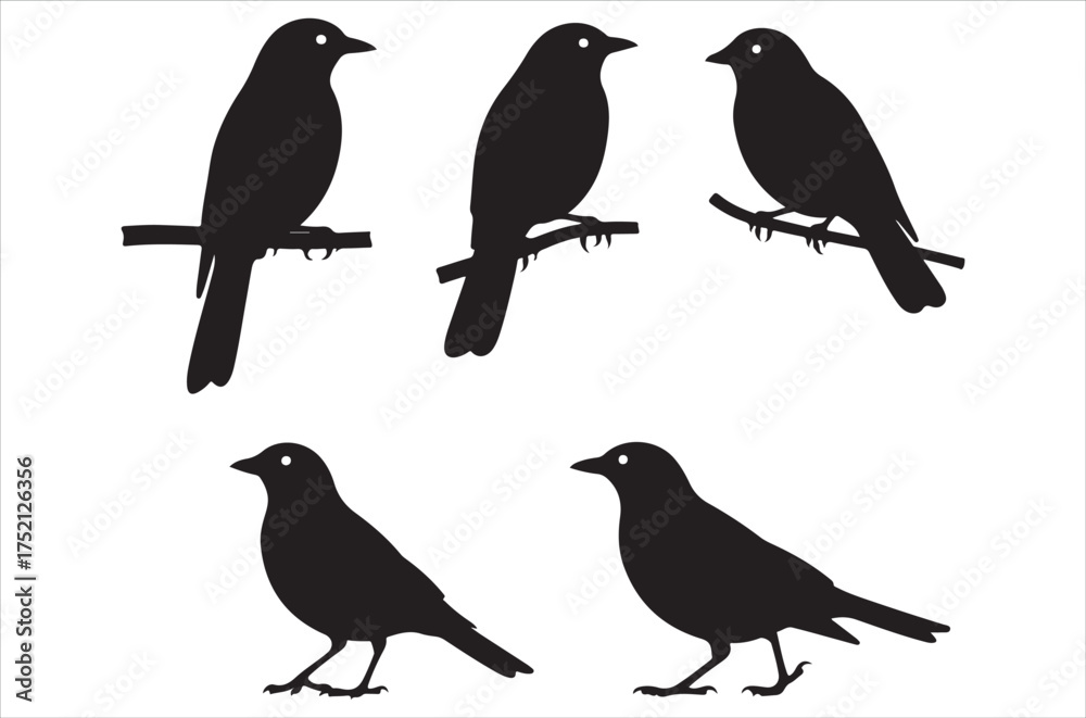 Fototapeta premium Myna bird silhouette bundle vector, illustration, design, icon, retro on white background.
