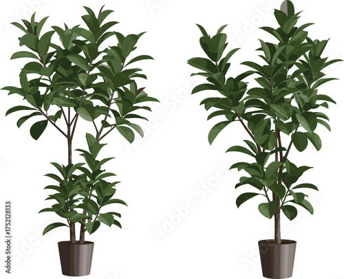 Realistic indoor potted plants illustration with lush green leaves, tropical decorative houseplants in brown pots, natural greenery vector design