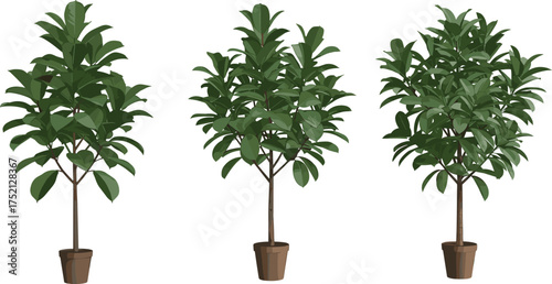 Realistic potted indoor plants illustration with lush green leaves, decorative houseplants in brown pots, tropical foliage, botanical greenery vector art