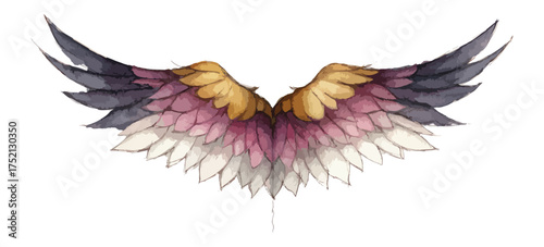 Watercolor bird wings illustration isolated on black background