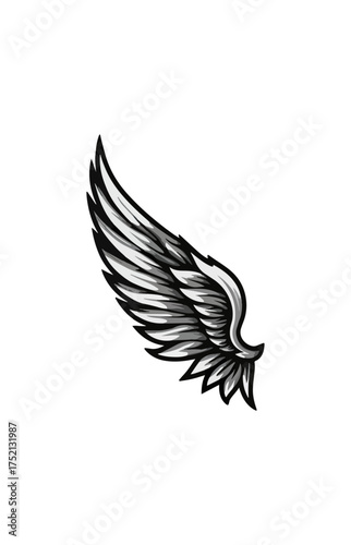 Wing illustration on black background conceptual design