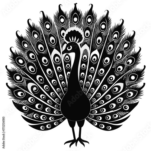 Elegant peacock illustration with detailed feathers forming a circular design against a white background.