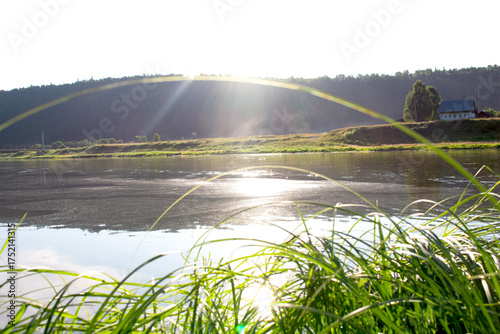 river and trees waves of mud and water lilies