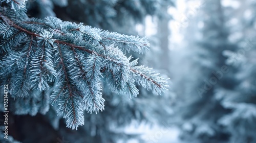 frozen winter forest with snow covered trees outdoor no logos no brands ar 169