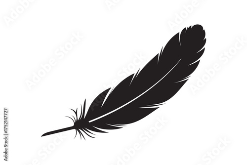 Dark single feather floats, isolated against clean white background creating a simple, captivating vector