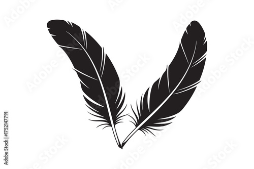 Two elegant black feathers gracefully rest together against a crisp white background