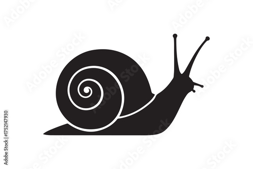 A minimalist black silhouette shows a snail with its coiled shell against white