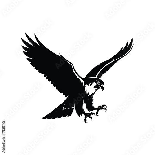Powerful falcon in flight silhouette