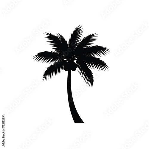 A lone palm tree silhouette against a white background silhouette