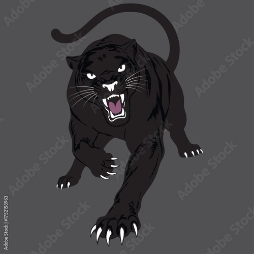 Black panther mascot illustration in dynamic pouncing pose with sharp claws and teeth isolated on a gray background 