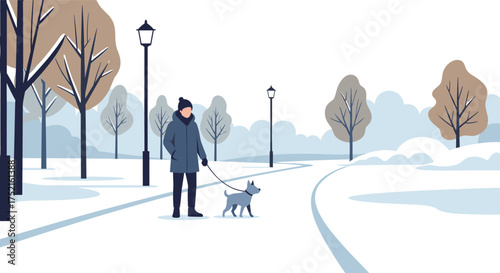 A Person Walks Their Dog on a Snowy Winter Day in a Park