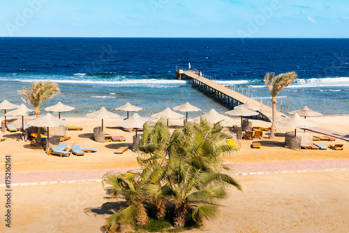 Resort sandy beach with sunbeds and umbrellas, palm trees, diving pier on sunny day, Marsa Alam, Egypt