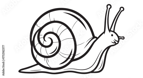 Detailed illustration of a garden snail with its shell and antennae isolated on transparent background
