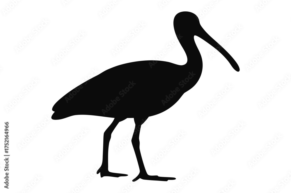 Fototapeta premium Spoonbill bird silhouette vector, ibis bird silhouette 
