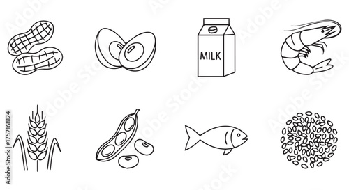Outline icons of common food allergens peanuts, avocado, milk, shrimp, wheat, soy, fish, and seeds, isolated on transparent background