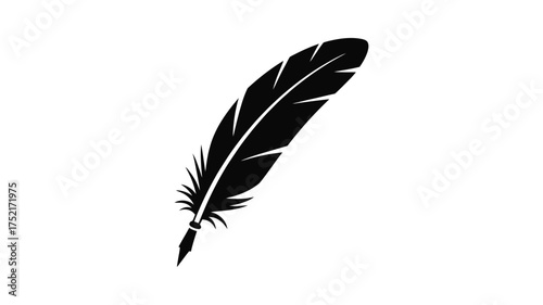 A single black quill feather with detailed barbs isolated on a white background