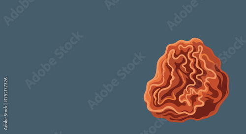 Detailed Illustration of a Brain Coral Specimen.