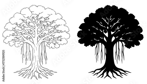 Banyan tree vector, outline version and silhouette version