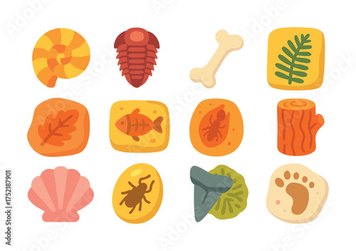 Vector Colorful fossil and artifact illustrations with shells and bones