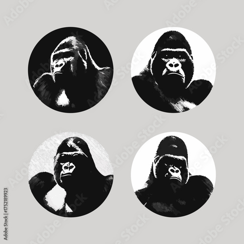 Four circular black and white primate portraits in a grid
