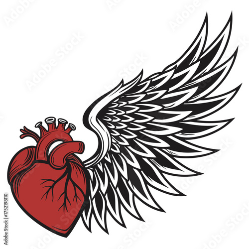 Anatomical heart with a single black and white wing attached to it on a white isolated background created with generated ai