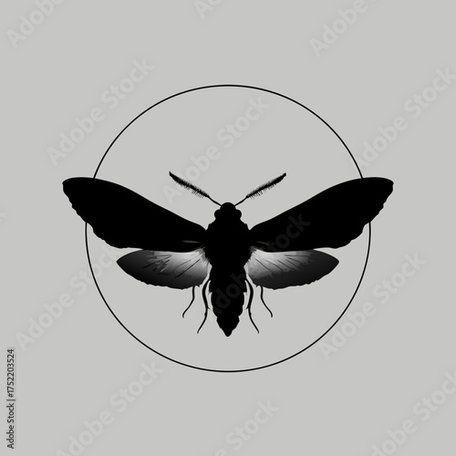 Silhouette of a moth with wide wings in a circle, grayscale