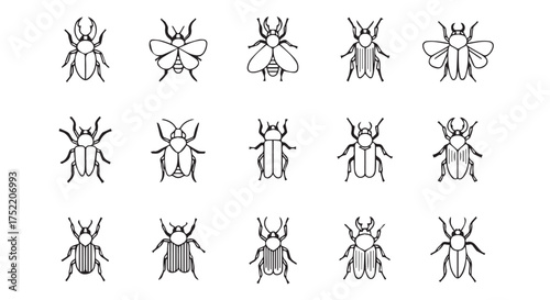 Diverse collection of insect illustrations, featuring various beetle species and other arthropods, isolated on transparent background