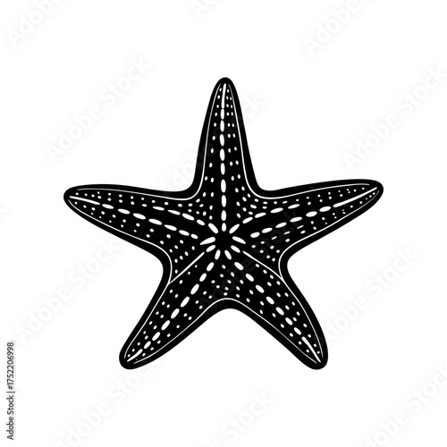 Starfish Resting On Seafloor