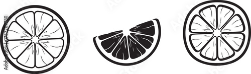 Citrus Fruit Slices and Wedge Illustration orange lemon