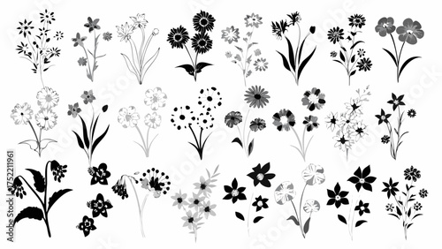 Elegant botanical assortment with monochrome floral elements for sophisticated designs, ideal for invitations, branding, and artistic projects, originally a vector