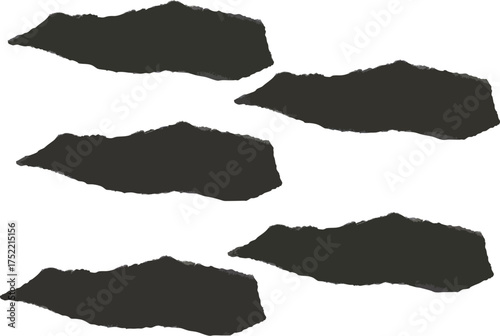 Abstract black torn paper shapes on a white background, conveying a sense of disruption or fragmentation.
