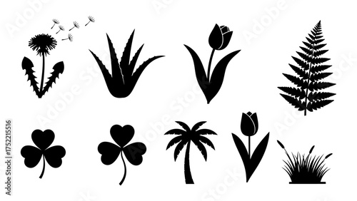 Black Silhouettes of Diverse Flora and Natural Plants Vector Collection