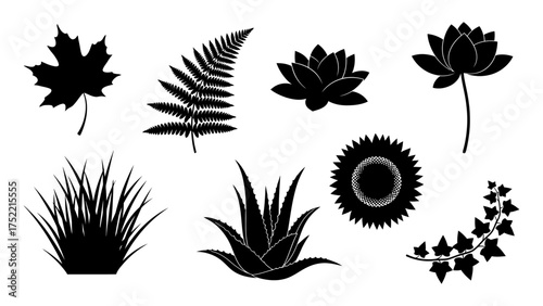 Assortment of Black Plant Silhouettes and Botanical Icons on White Background