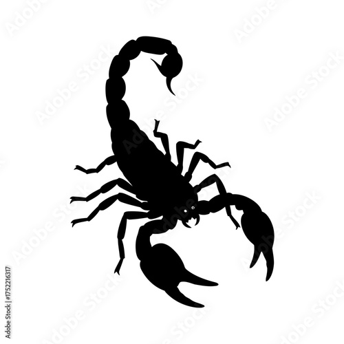 Black Scorpion Silhouette Vector Graphic Illustration on White Background