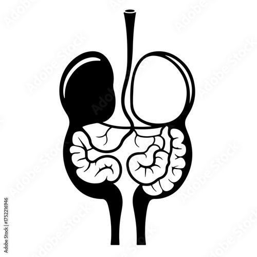 A black and white icon of the human upper digestive system anatomy. This medical illustration includes the stomach, liver, gallbladder, and intestines, symbolizing digestion and gastroenterology. Isol