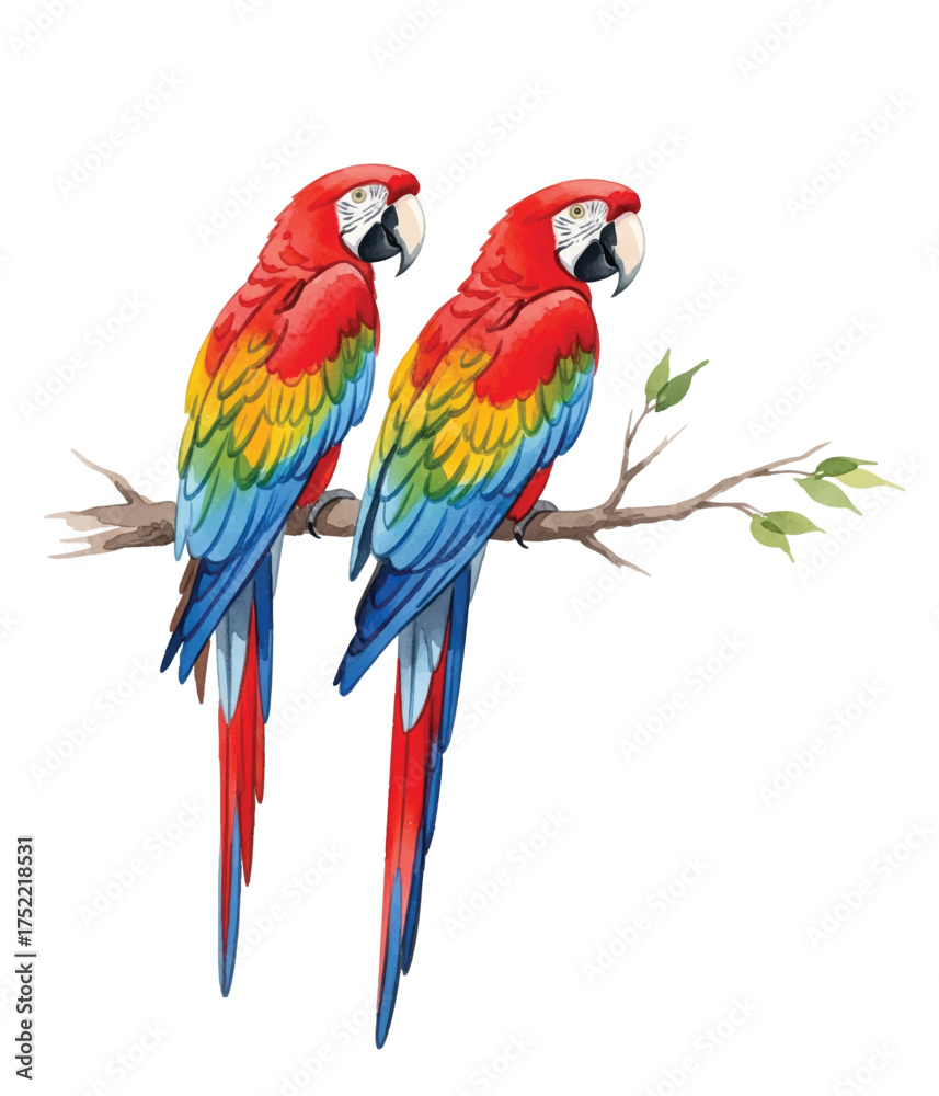 Fototapeta premium Adobe Illustrator Artwork