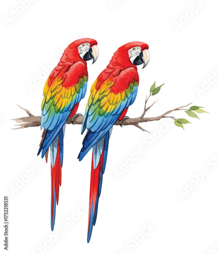 Adobe Illustrator Artwork