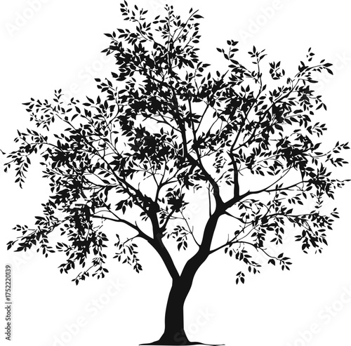 Tree silhouette vector, detailed leafy branches and trunk on white background — stock vector.